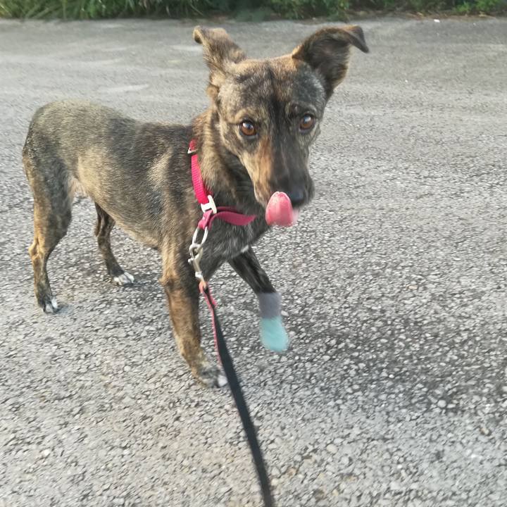 5b0e5be2 6ffc 40f1 9dd2 c22e4b23d681 1543368997223