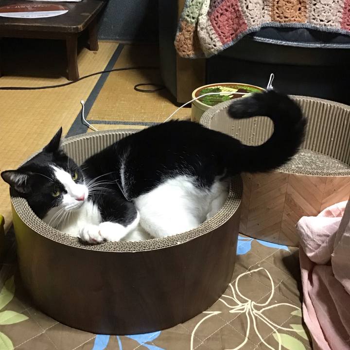 5b0ee669 b9bb 4fdd 81a2 2b14b221feeb 1697541963449