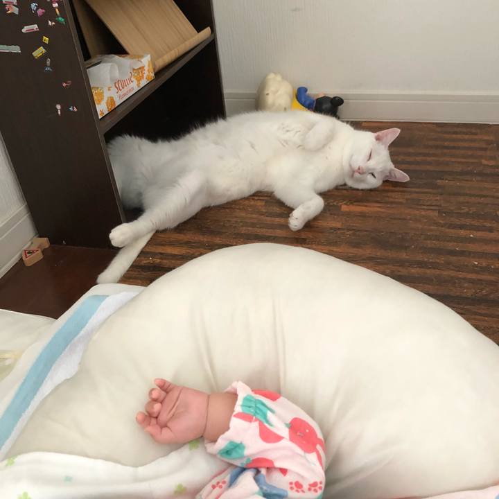 5b0f143a 4e76 46ff a274 1205f5c1e44a 1538915589914