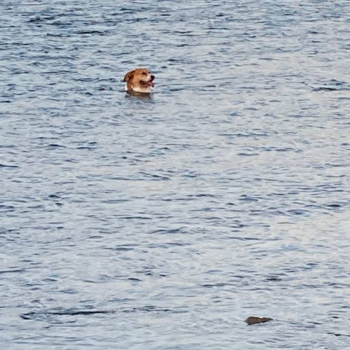 5b0f2867 9848 491c a0f1 1f253bb02448 1757417214696