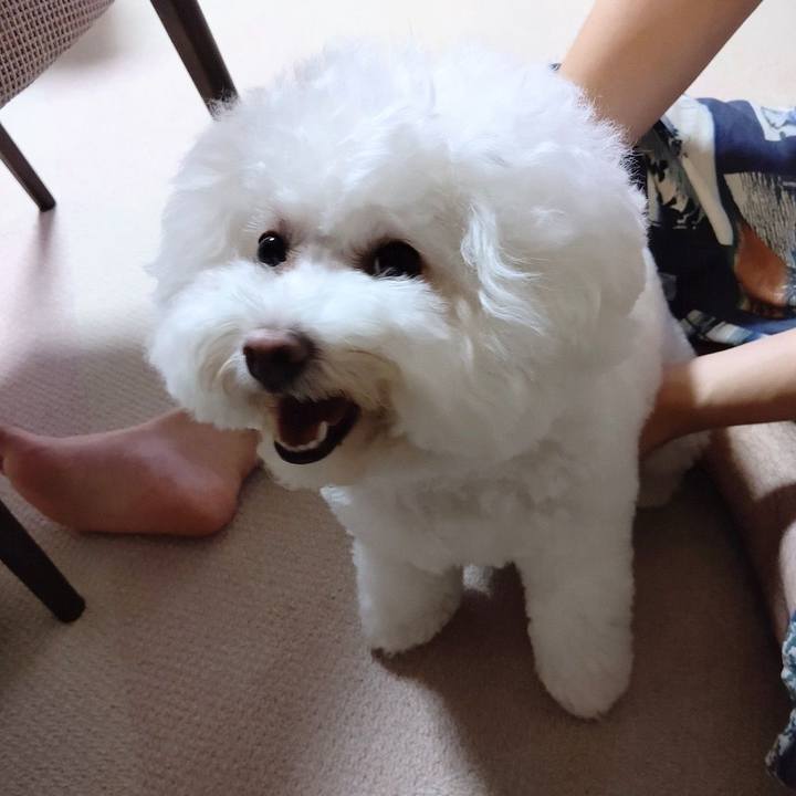 5b0f9648 2341 4aac bc41 610be766932c 1663214400621