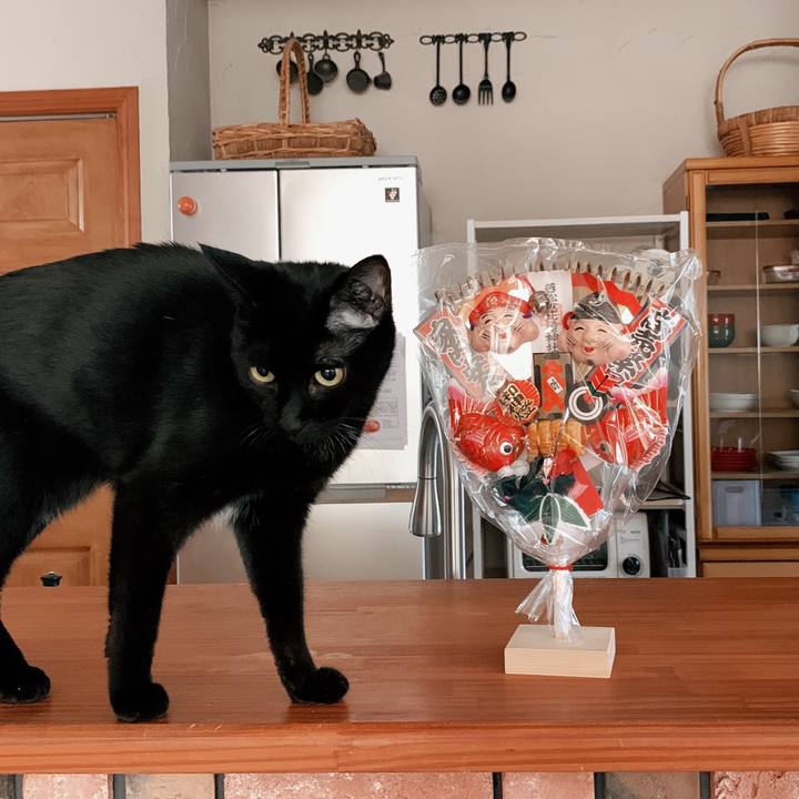 5b0fb695 1510 430c 8274 b6d3a8327283 1641799154571