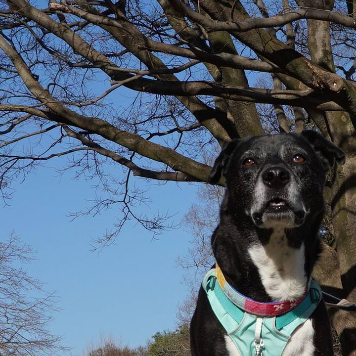 5b0fcf99 1fa6 474a be24 7b50deb32c25 1774316644005