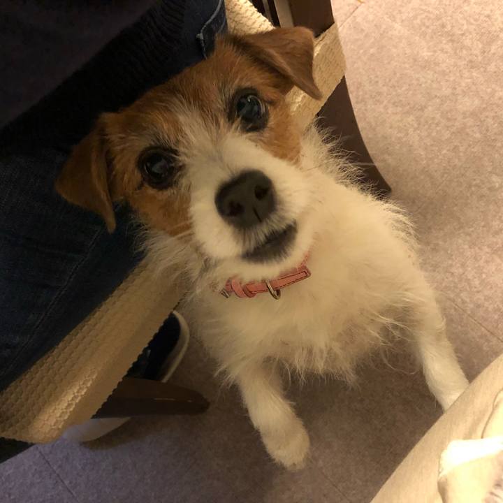 5b0fe162 081b 4882 80ce 99b3fe8a813a 1609508916150