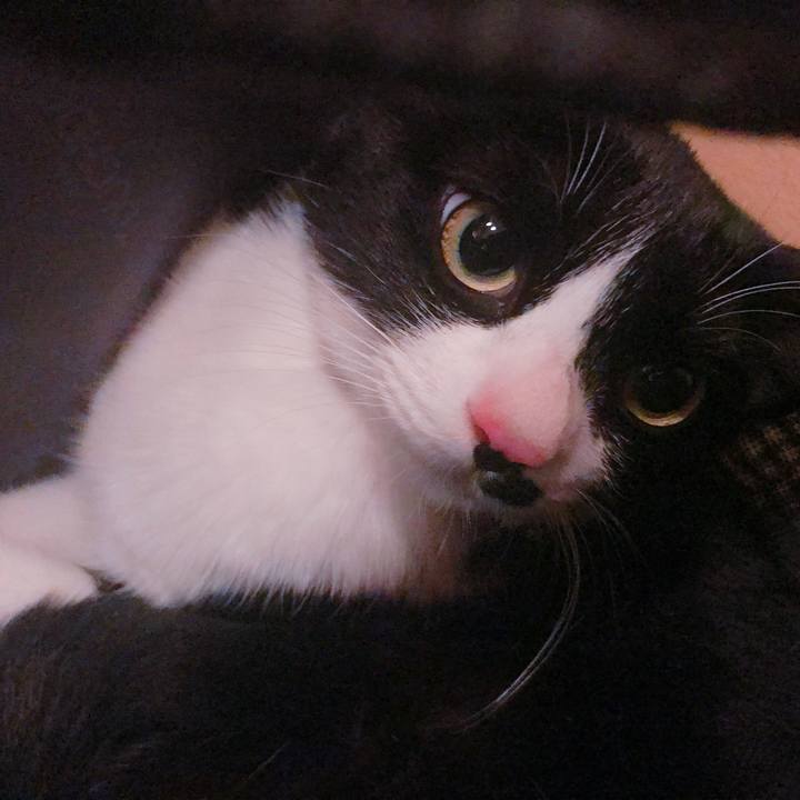 5b0feb23 2b71 4246 8bb8 6f45b6089620 1532360030536