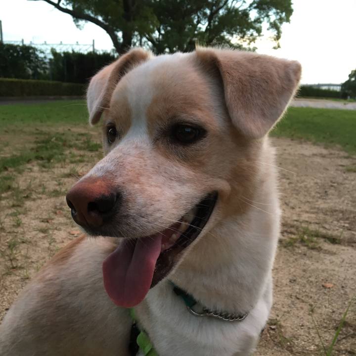 5b0fef34 e288 4846 8c69 c6ff4aeb5a16 1531137909470