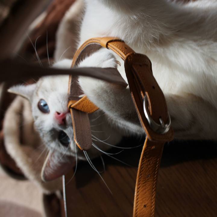 5b0ffb79 fae5 4db0 b979 807cb9ecc36d 1520667422634