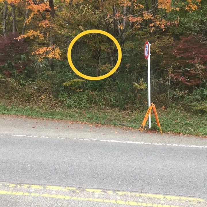 5b10002f baad 41c5 96d2 91fe6f8c53df 1510140315426