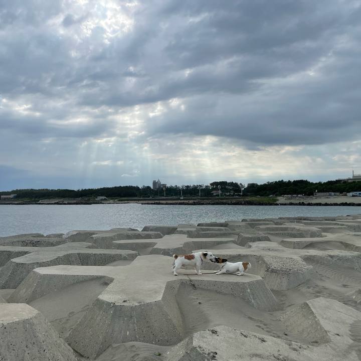 5b10028c 6b3b 47a8 8796 ffdca1a841b6 1656548232681