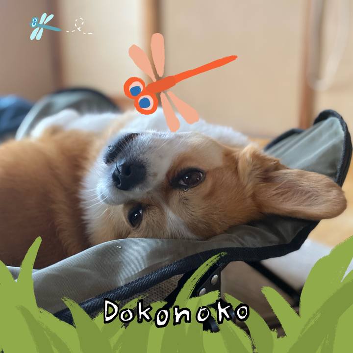 5b101e9c dc84 4b1f ac3c caaeb6274313 1726923220929