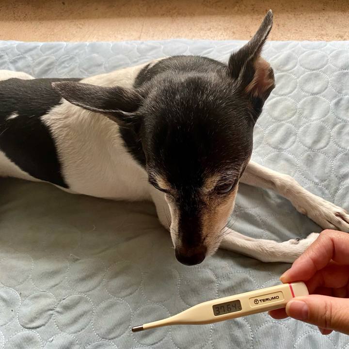 5b103e0c 52f5 4215 b64b b067de270e96 1627163221363