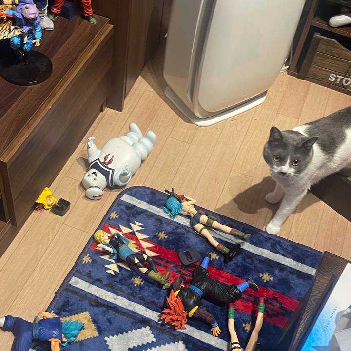 5b107899 1876 43d4 b2a6 64f1ffbbb981 1623752649703