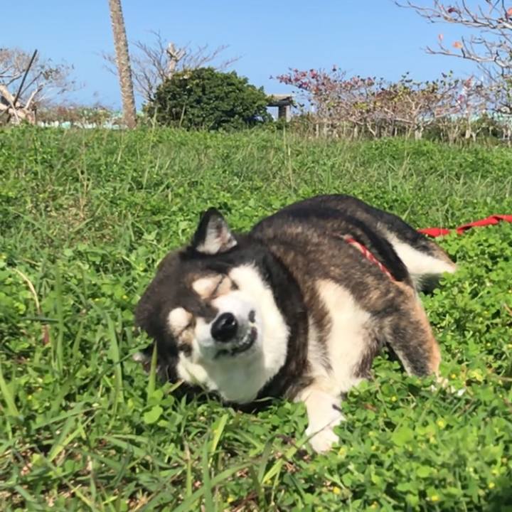 5b108daa e89a 4491 b474 bc5ef8d1e752 1647135725703