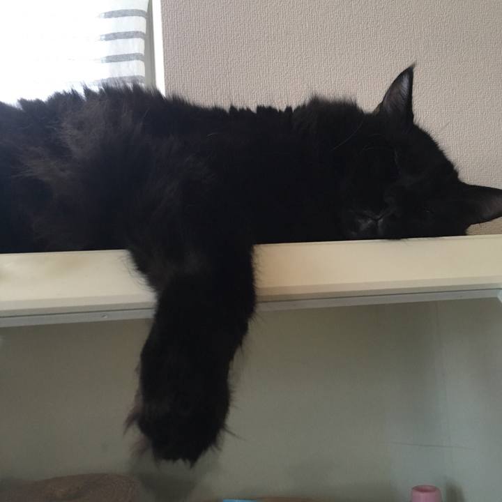 5b108f2a f1f5 417b ad20 d26acf0fcce5 1564931252286