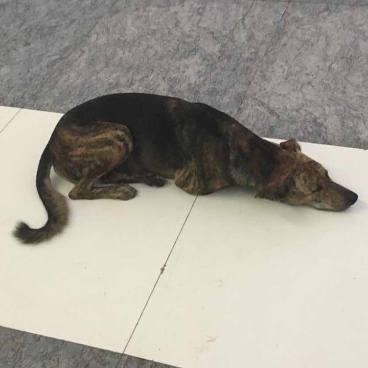 5b10a28c b0a1 48f5 a0b9 4e182a2f7ea0 1536577640870