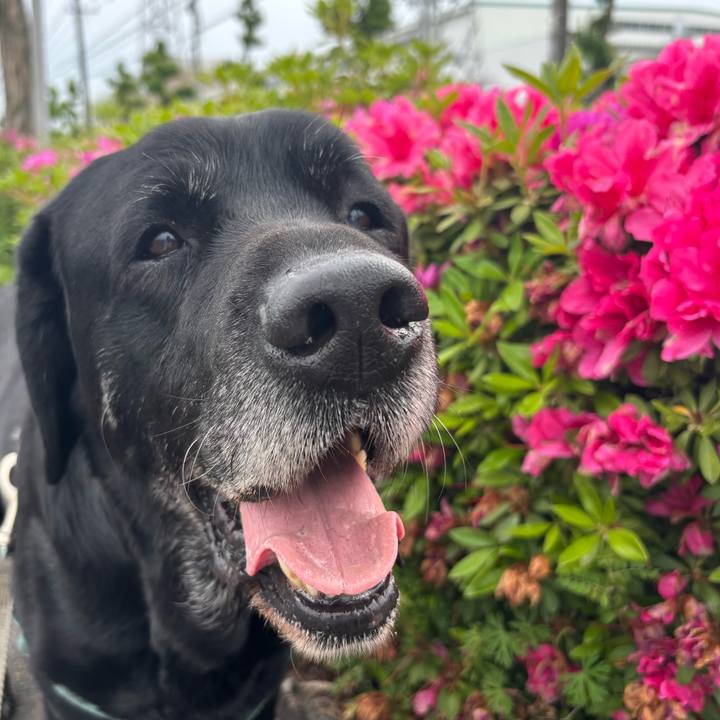 5b10b088 0ee2 4f2c 84e3 3b38de54f1a6 1776771114015