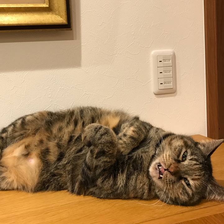 5b10b9b9 3b5f 49b4 b70a 12d08f8b6f75 1552181616406