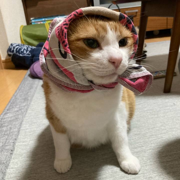 5b10ea1e bdde 4d5b 8d22 6dcde5bf1a60 1756301357117