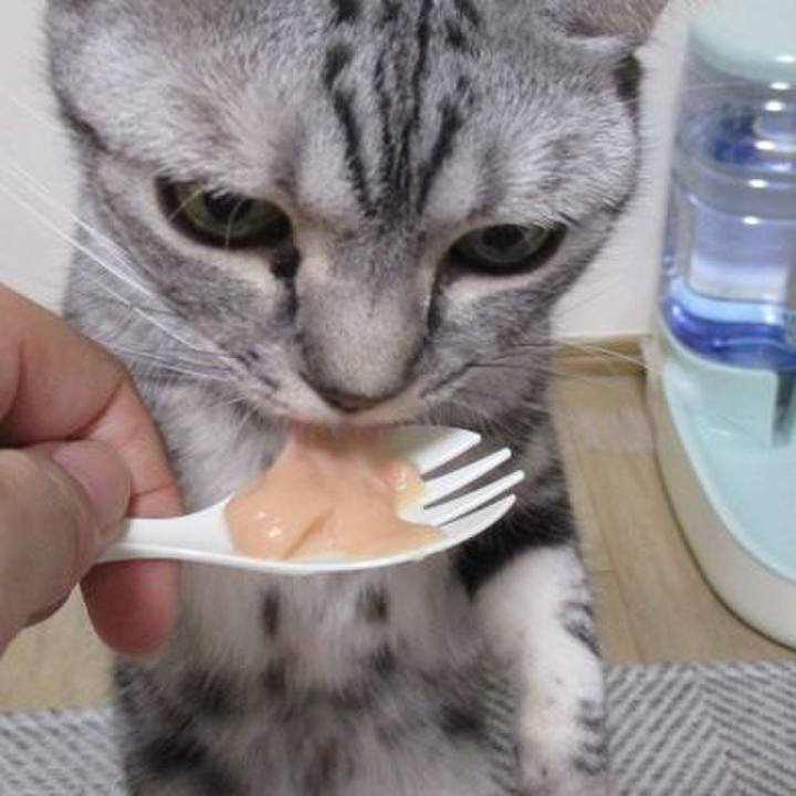 5b111231 ee19 4449 b7f8 938ae38d50fd 1695290003221