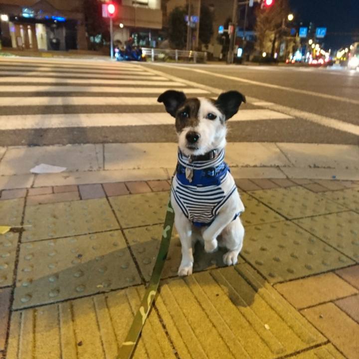 5b1163fa a6fe 4824 bdbd d555e962d4ad 1513082487301