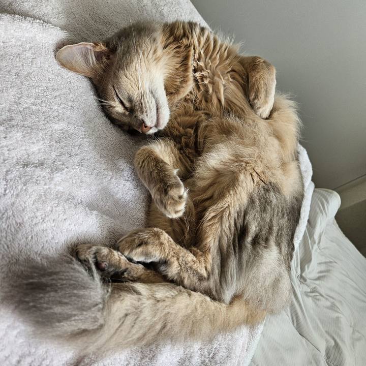 5b117410 2a19 4dc8 847b 66a8fca517ec 1726327201249