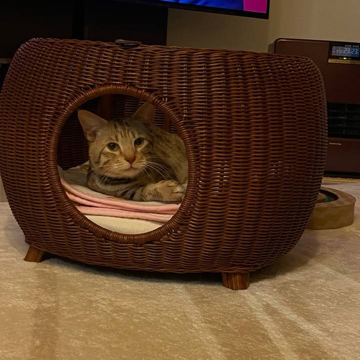 5b117c3a abe5 4f9f b8a6 e47c34d6913a 1613190933268