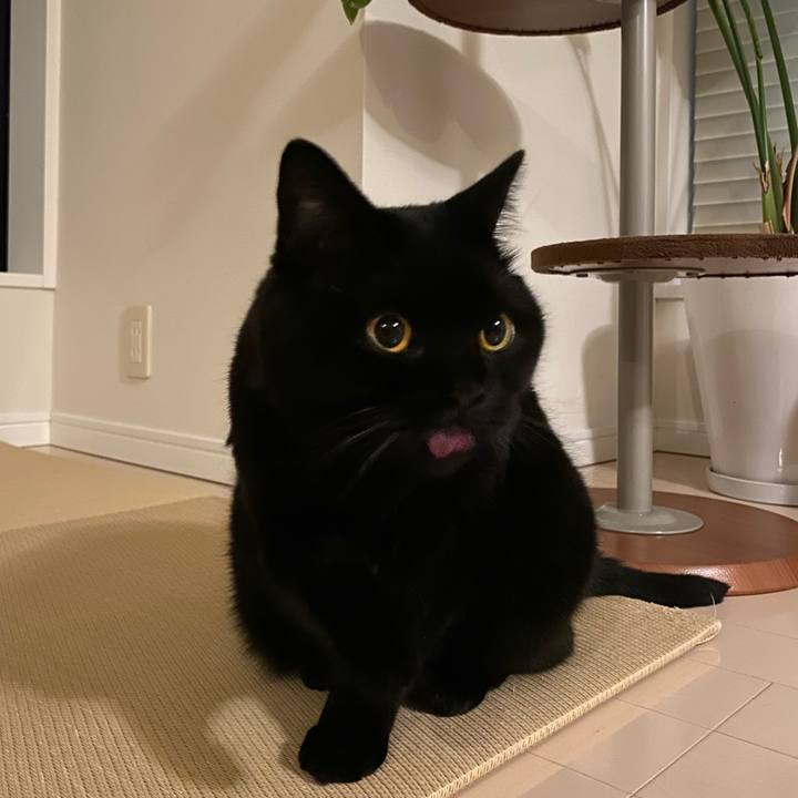 5b1188b1 a34f 4da1 b107 e3de95851c20 1626179538265