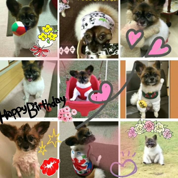 5b118a01 7c73 42e4 9e94 a03165cb7f8f 1514526324010