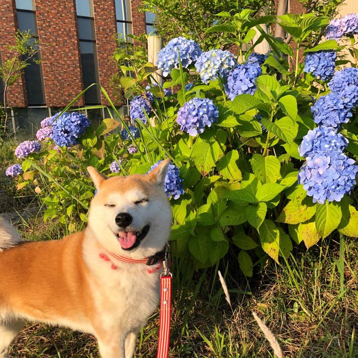 5b11a2ec 50b5 4e67 bf80 950fb740c4d6 1622501567410