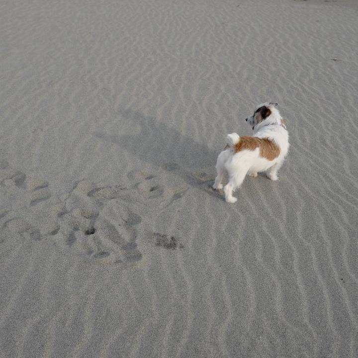 5b11a84a 11f9 4066 8c27 7e38320dd9a5 1521093008239