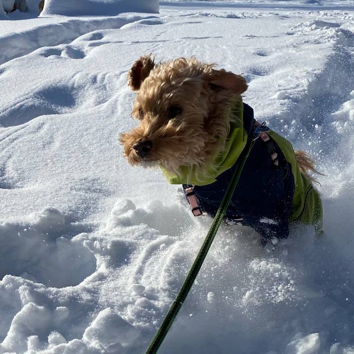 5b11ba9c 0f4c 48fb 9431 0c42a26ef450 1640745512456