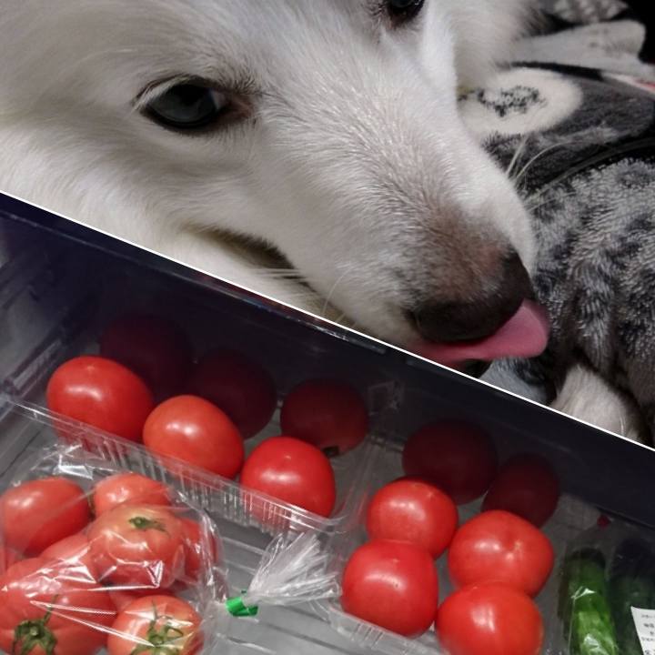 5b11bcc9 dc12 4554 ad5c ed7e615db38b 1591831149237