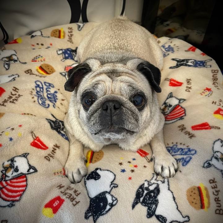 5b11be7f 207c 4b7e 93c7 b9044a7cfd97 1763884028074