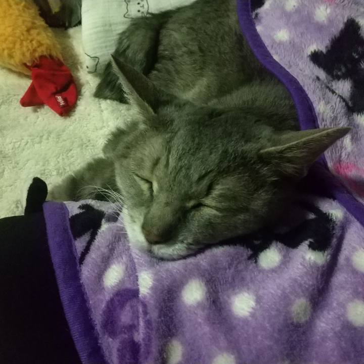 5b11bedc 5946 401b 921c 5a85e25517ea 1699638003239