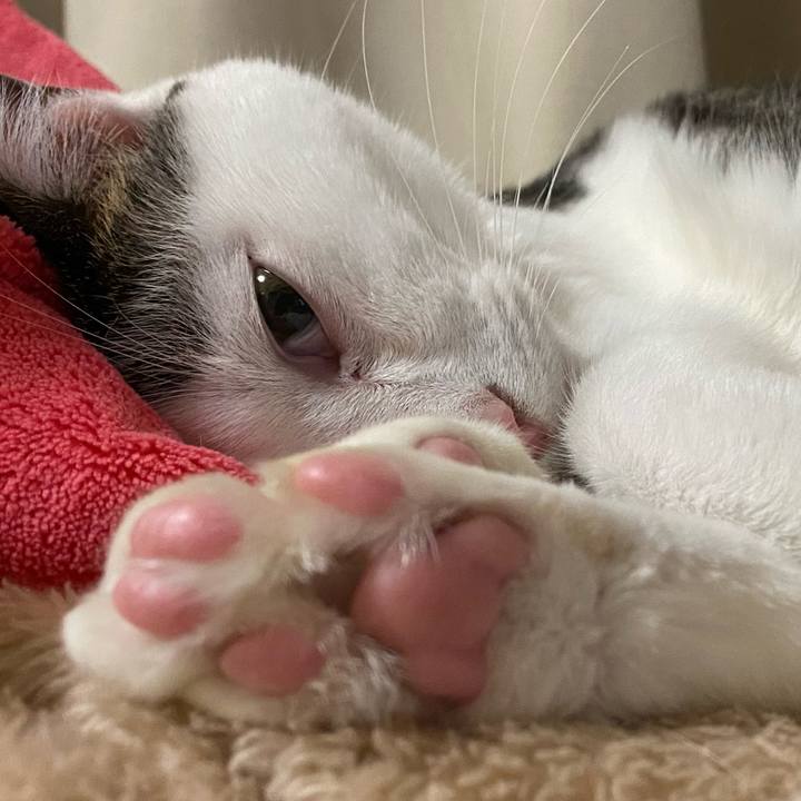 5b11e867 16e0 4b1f 8f9a 710780d5ab76 1770436516879