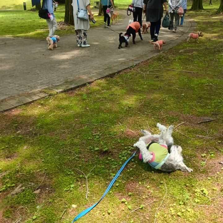 5b11ee28 2fdf 4e9f b563 6ed6f1a5b2c4 1782822398080