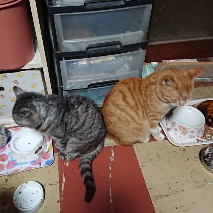 5b120b4c 4064 42c7 84cc bb3dd57d6a73 1571860298996