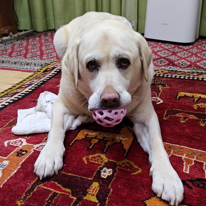 5b1215b9 f30b 4b58 b417 a64a8e00c08a 1744025704925