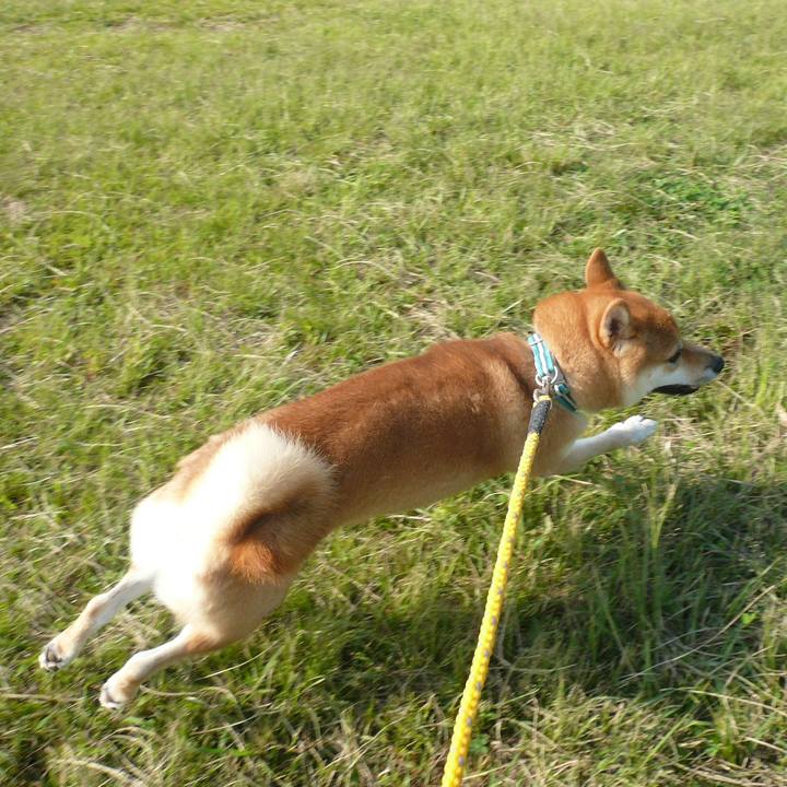 5b1225e4 dd8f 486e 89d8 34bcbc583f95 1635147202971