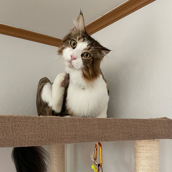 5b129003 96a7 402f 9084 3b8f6ff59e43 1659564278121