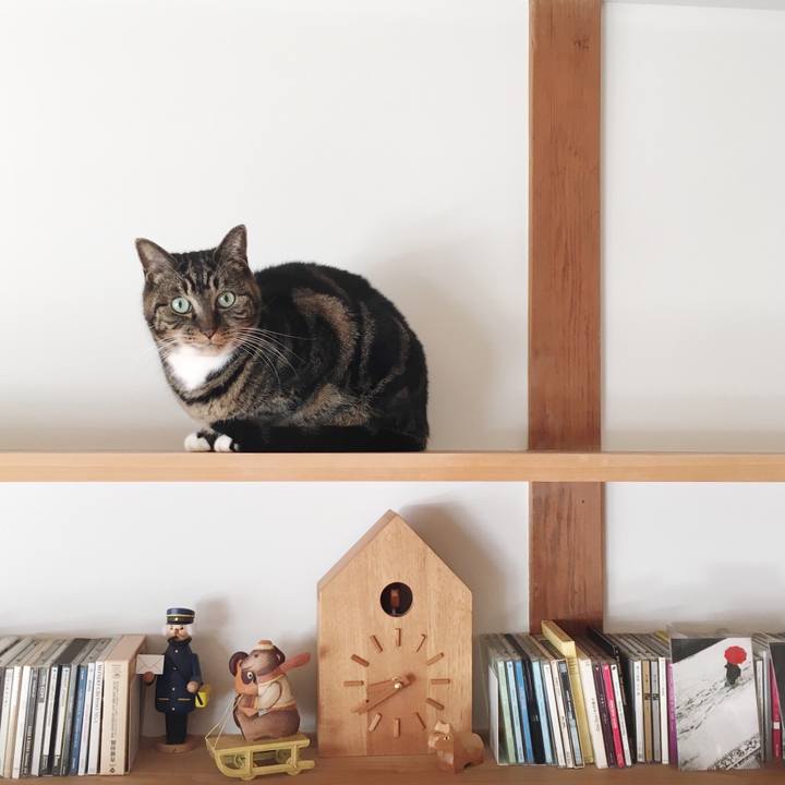 5b12a3a6 ad38 45e2 9e82 4b48dfaf7f45 1547161593674