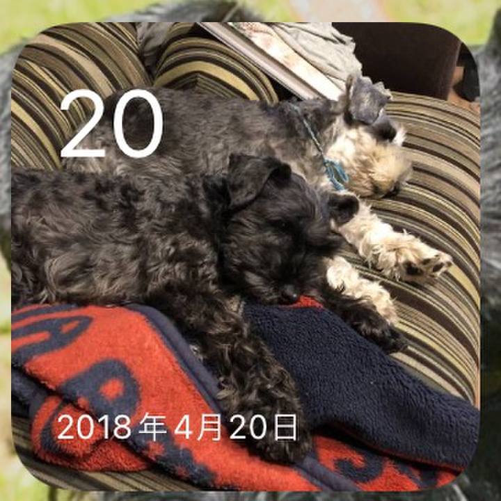 5b12bbc7 7796 4892 b455 a6c84df69393 1650466615834