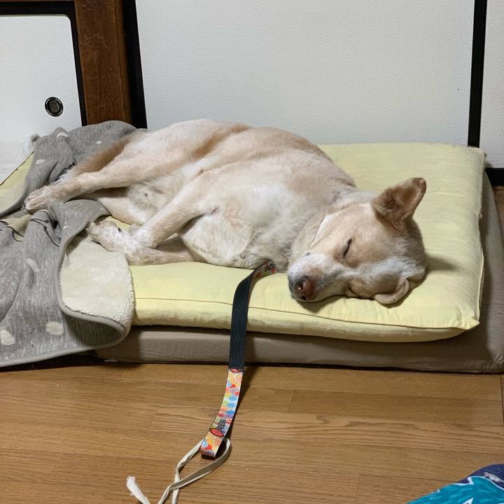 5b12c7ea 0a8b 4af3 a959 12e1da352ed0 1550157132649