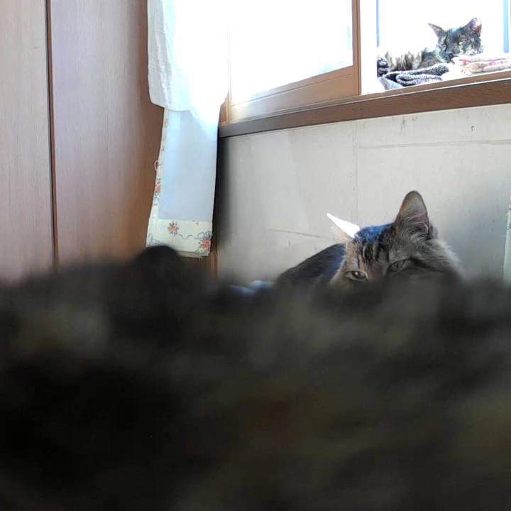 5b12ddf1 287a 4ee5 bce6 51b8fb0dd366 1550491992286