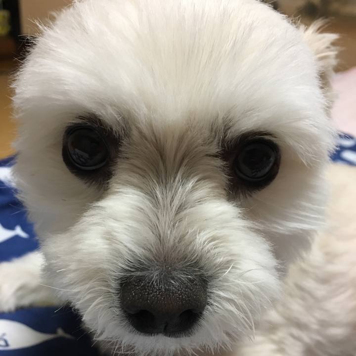 5b12e611 99b4 44e1 817f c1d02863e9a7 1557743397966