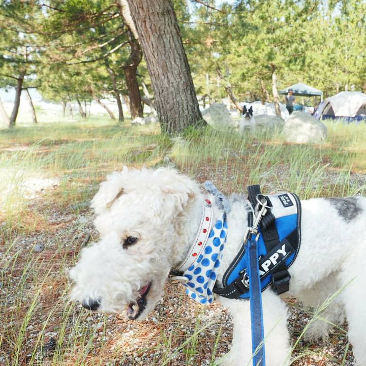 5b130c14 72a7 444d 83ac 2896096d4d7e 1528030252426