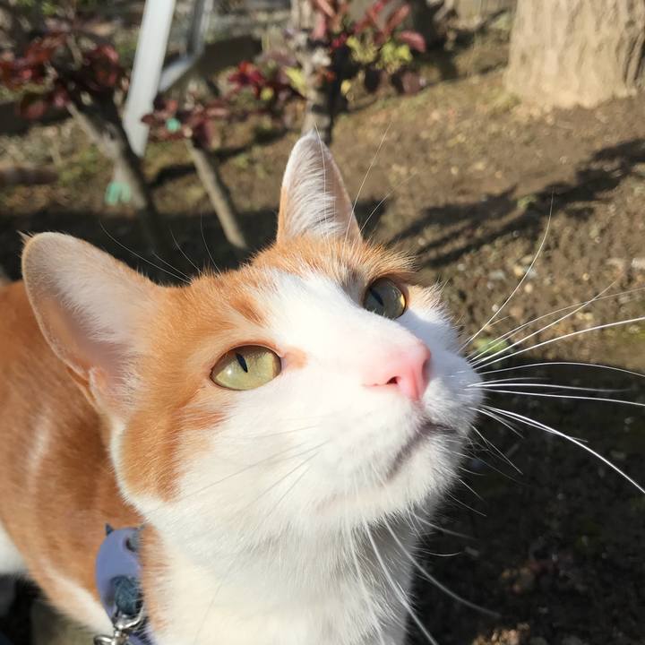 5b137abb 3923 4504 8e10 3a188c94fc4a 1516418738763