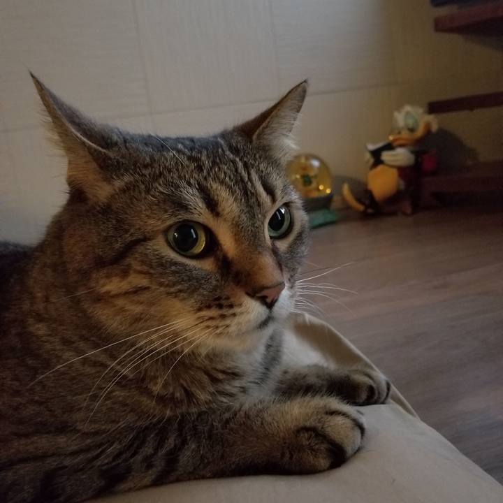 5b13b79b 603c 4da6 9ad8 8997af5f62d9 1624050112343