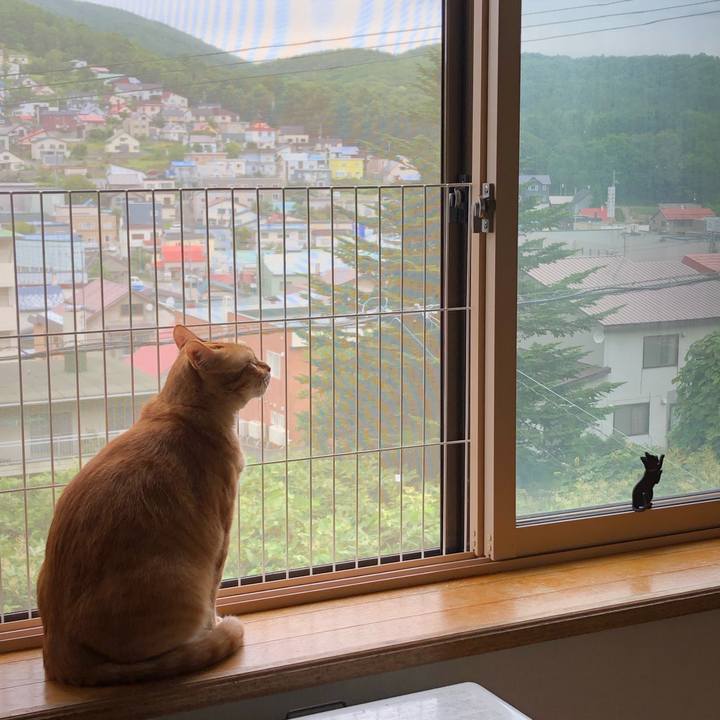 5b13c601 a0cc 4343 8870 b298bc1e519f 1566370080126