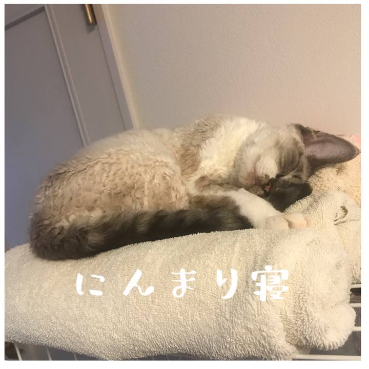 5b13c733 99b2 48f0 9c13 b8016132e750 1597204715281